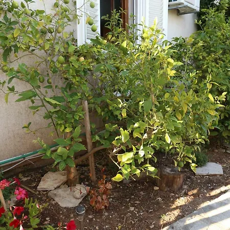 Jakobus Apartment Lumbarda