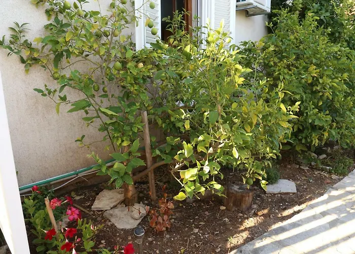 Jakobus Appartamento Lumbarda